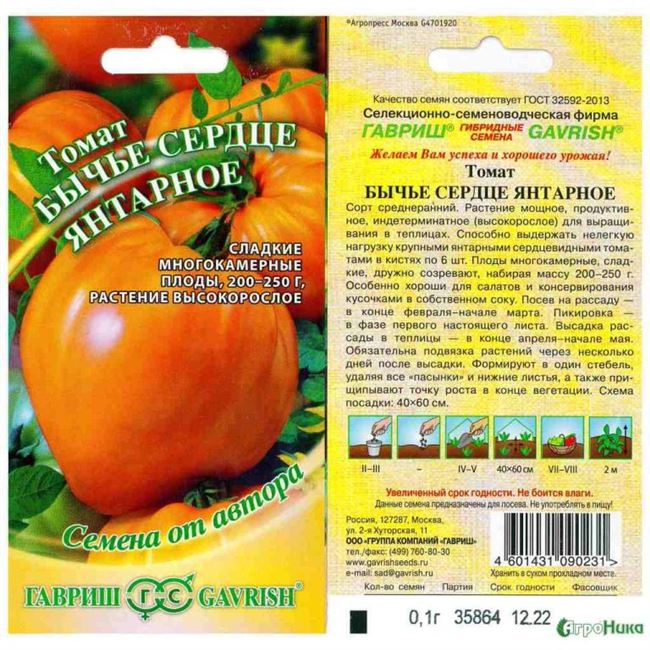 Урожайность томата Янтарный и плодоношение