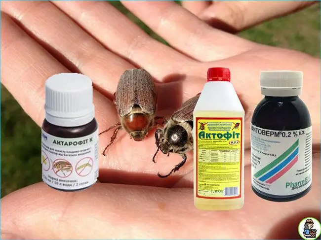 Химические меры борьбы с майским жуком