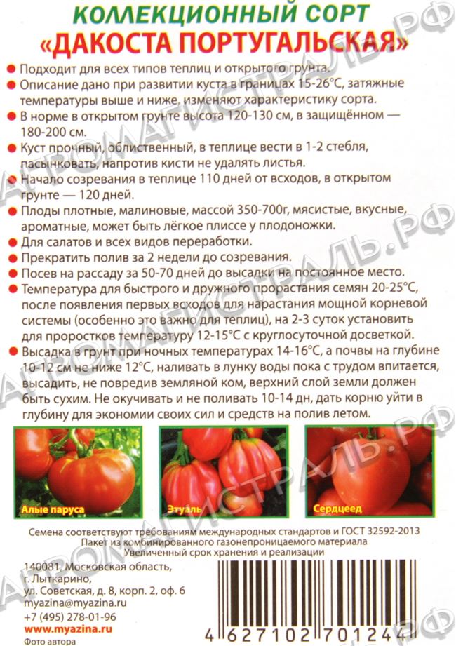 Вкусный сорт с длительной урожайностью — томат Алей: советы садоводов по посадке и уходу