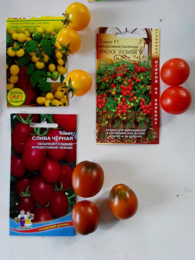 Ампельные помидоры – выращивание🍅, 10 сортов для балкона, фото, отзывы овощеводов