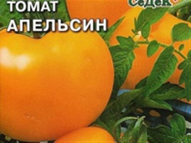 Томат Апельсин: отзывы, фото, урожайность