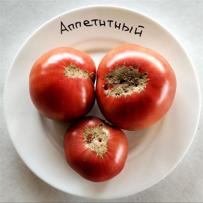 Большие сладкие плоды с привлекательным окрасом — томат Аппетитный