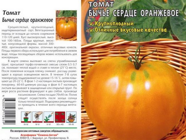 Помидоры, которые можно выращивать на всей территории РФ — сорт «Бычье сердце оранжевое»