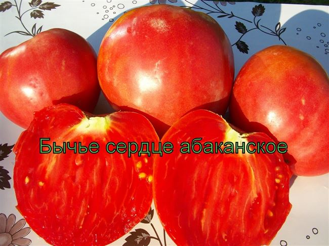 Томат Бычье сердце Персиковое семена — низкая цена, описание, отзывы, продажа