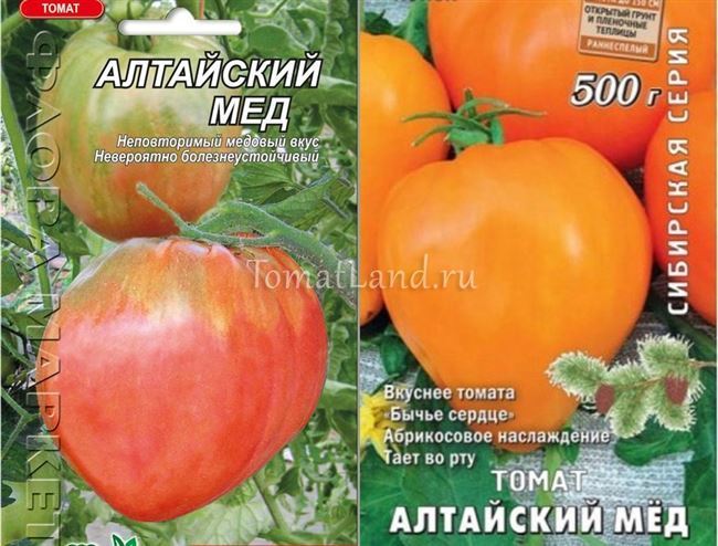 Описание сорта томата Вериге, особенности выращивания и ухода