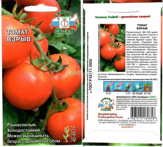 Характеристика и описание сорта томата Взрыв, его урожайность