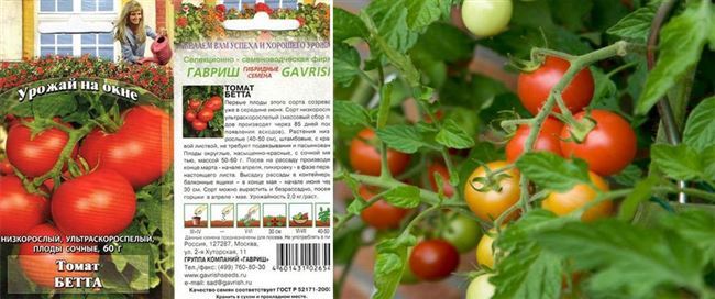 Томат Галапагос семена — низкая цена, описание, отзывы, продажа