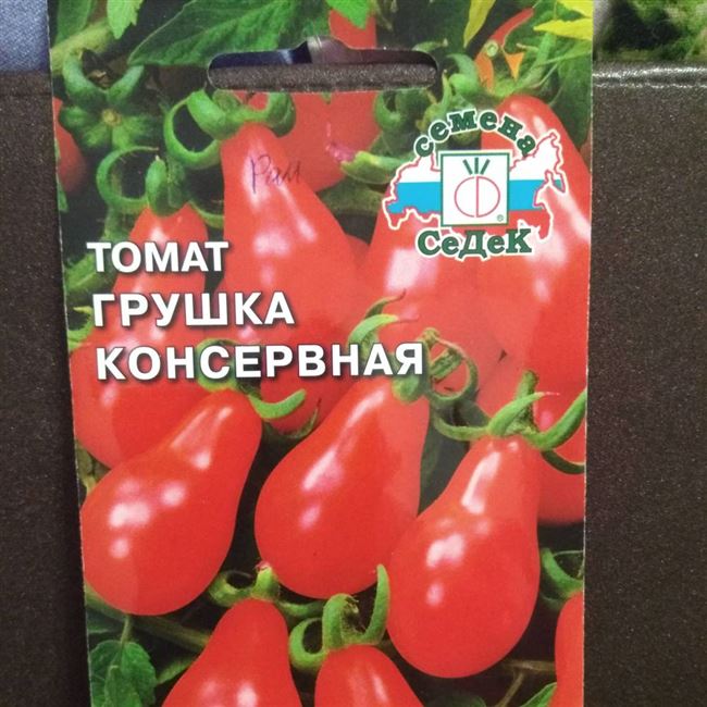 Описание гибридного томата Грушка консервная и особенности выращивания