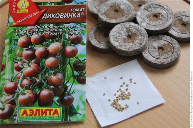 Томат Диковинка: характеристика и описание сорта, урожайность с фото