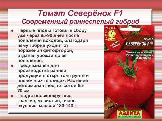 Темно-красный сливовидный томат впервые начинают выращивать в Турции — Технологии выращивания томата, гибриды и сорта — Портал о теплицах