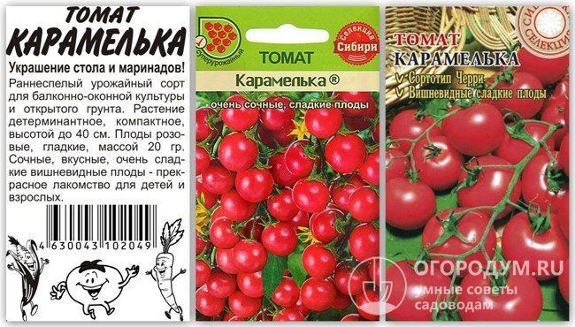 Миниатюрные кустики с крошками-помидорками — украшение грядки: томат «Карамель» и советы по его выращиванию