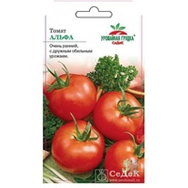 Устойчивый и ранний томат Катя. Характеристики гибрида и агротехника