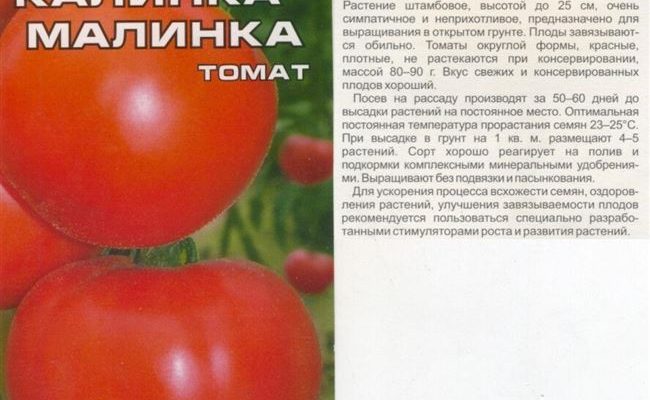Впитавший в себя все самые лучшие качества томатов — Корнеевский: характеристика и описание сорта