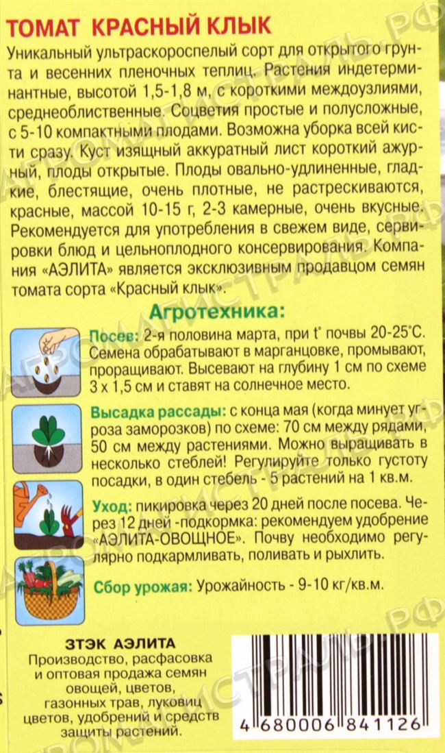 Томат Красный клык: описание и характеристика сорта, отзывы садоводов с фото
