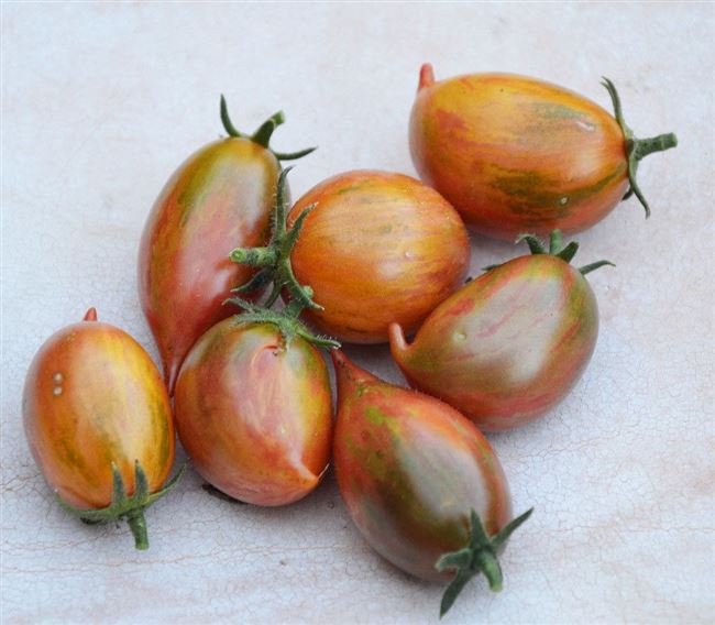 Candy Sweet Icicle (Конфеты сладкие сосульки) — c — сорта томатов — tomat-pomidor.com — отзывы на форуме | каталог