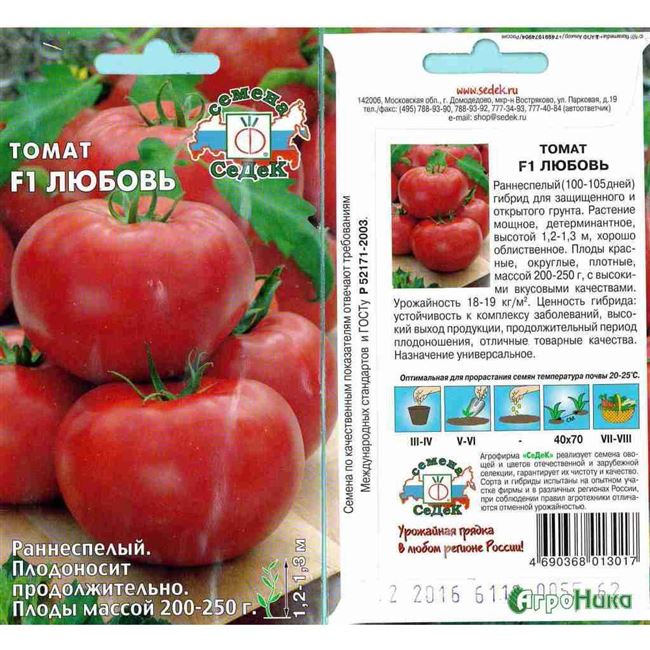 Богатый урожай при минимальных усилиях — томат Любовь земная: описание сорта и советы