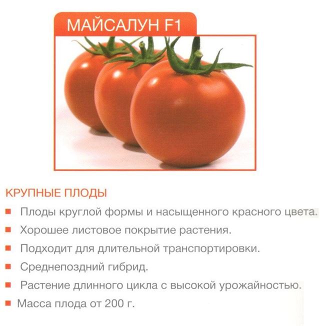 Майсалун F1 семена томата дет. среднепозднего 115-125 дн. окр. 200-250 гр. красный (Nunhems)