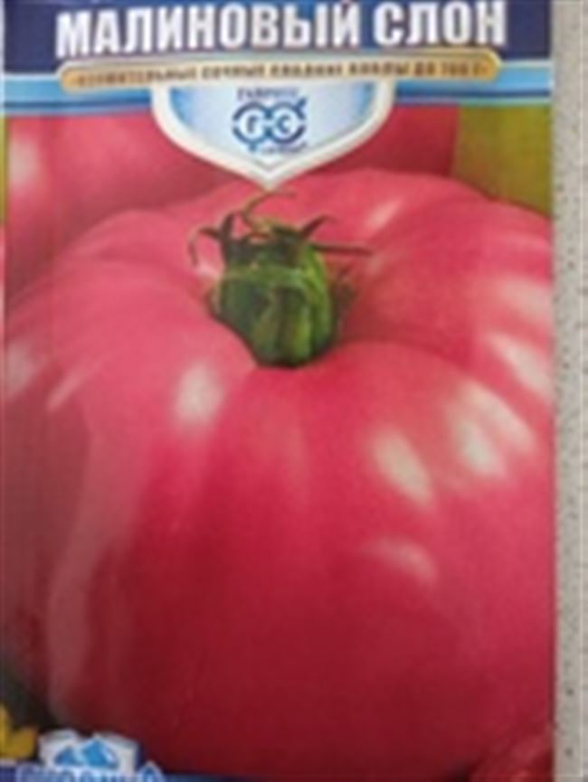 Томат Малиновый Богатырь: характеристика и описание сорта, фото и отзывы о помидорах
