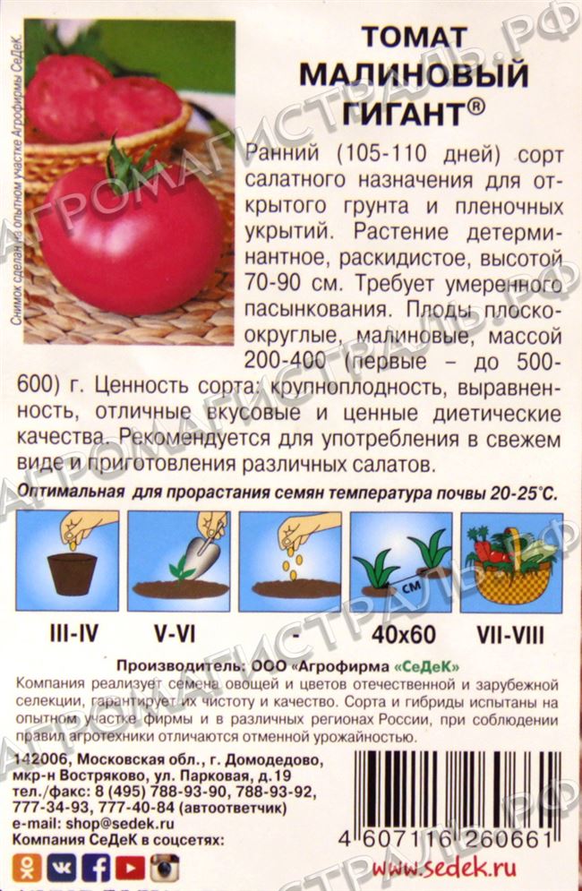 Описание и преимущества томата Малиновый закат, культивирование и выращивание сорта