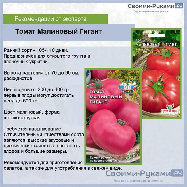 Описание сорта томат Магнус, характеристики и выращивание