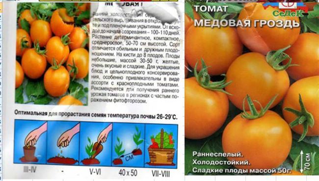 Томат Медовая гроздь: характеристика и описание сорта, фото, урожайность помидора, отзывы