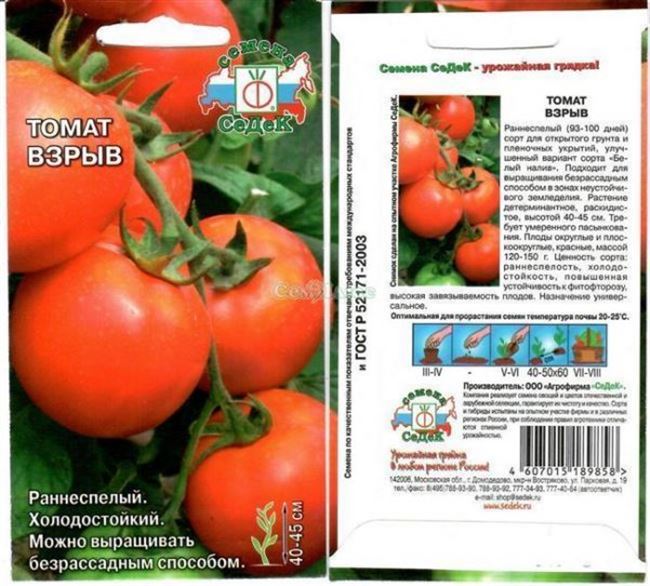 Описание раннеспелых томатов Момент и выращивание рассады самостоятельно