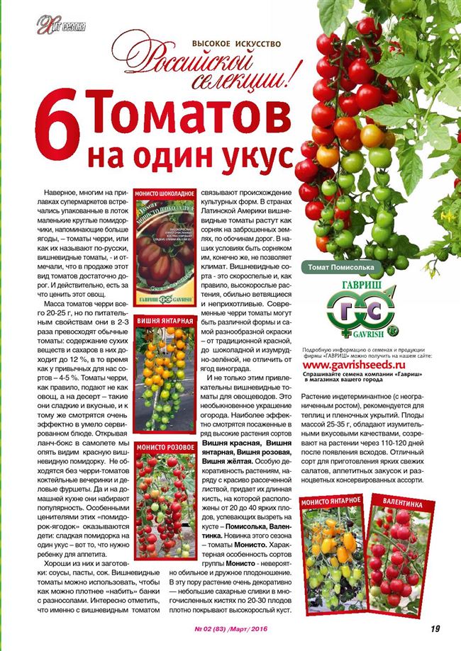 Характеристики и описания сортов томатов Монисто