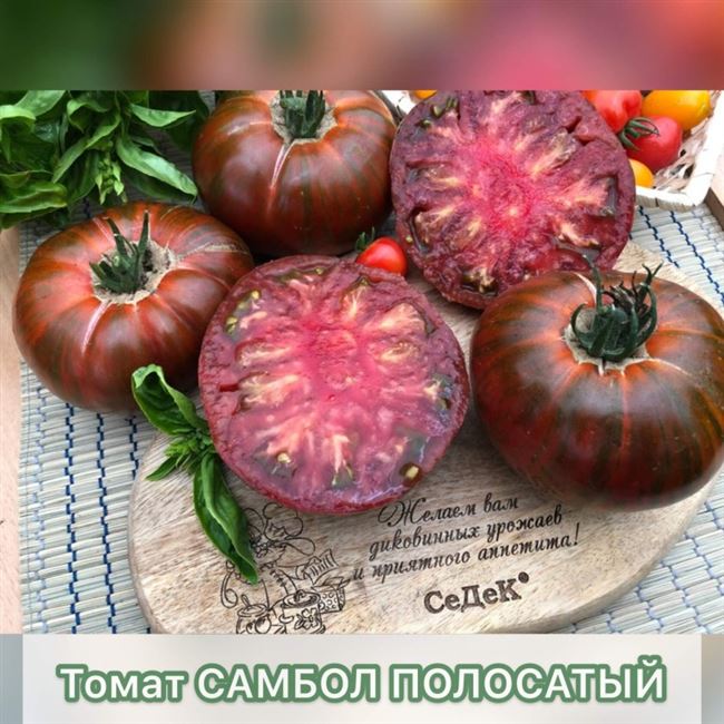 Отзыв: Семена томата GL Seeds "Мулатка" - Очень вкусный и урожайный томат.