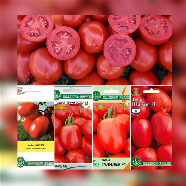 Петраросса F1 – томат для фермеров и дачников — описание гибрида и его преимущества