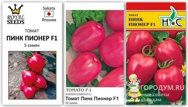 Томат Пинк Пионер F1: отзывы об урожайности помидоров, характеристика и описание сорта, фото куста
