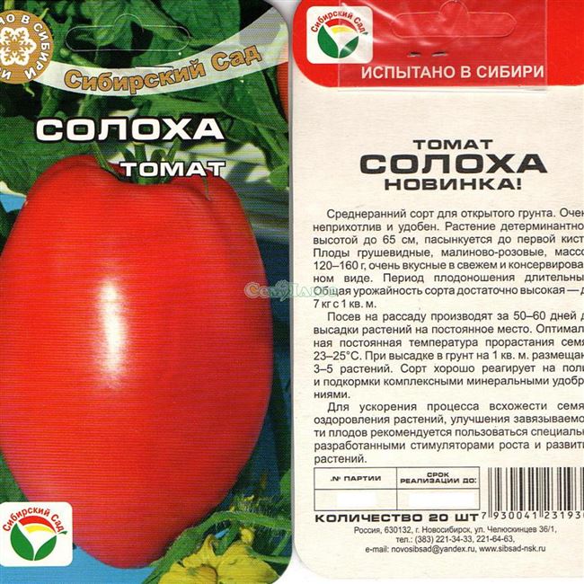 Томат Солоха: фото помидоров и отзывы об их вкусовых качествах и сложностях при выращивании, плюсы и минусы сорта