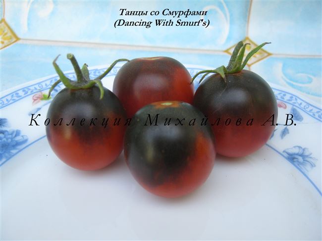 Томат Танцы со Смурфами: характеристика и описание сорта, отзывы об урожайности, фото помидоров