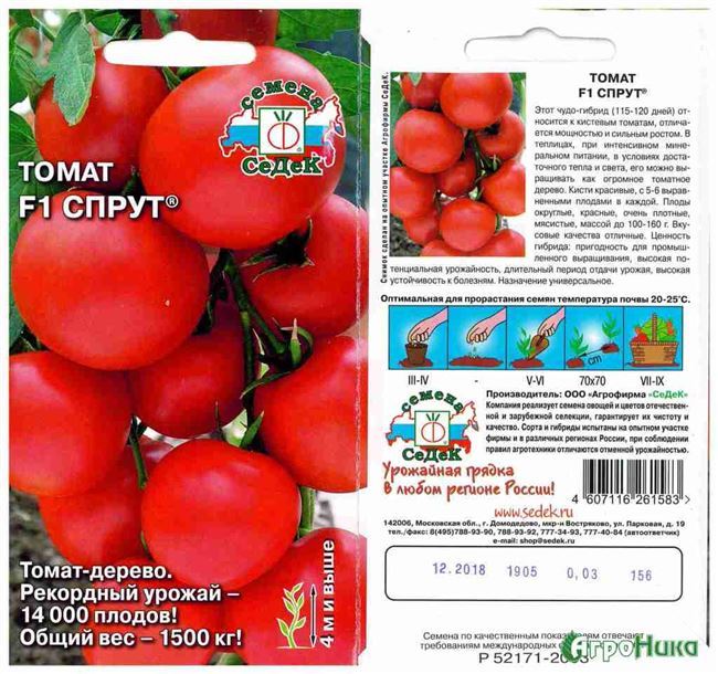 Томат «Титаник» f1: описание сорта и основные характеристики помидоры Русский фермер