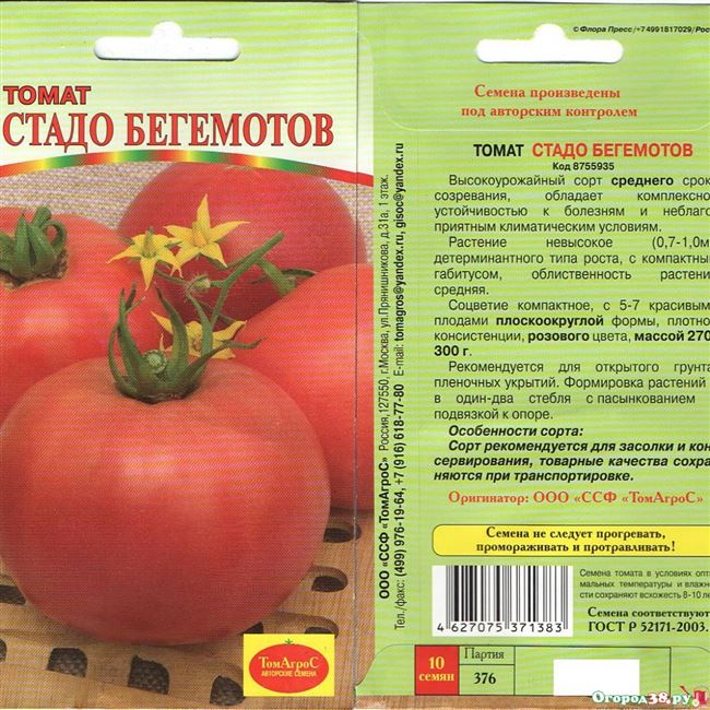 Высокорослый гибрид томата. Начало плодоношения. Характеристика растения. Назначение.