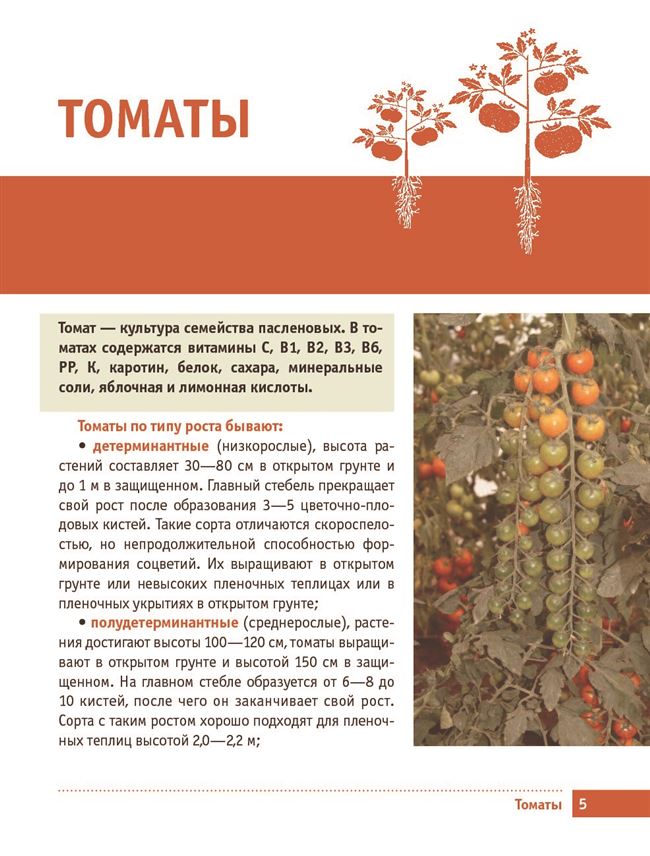 Томат Черрипальчики: характеристика и описание сорта, отзывы, фото, урожайность