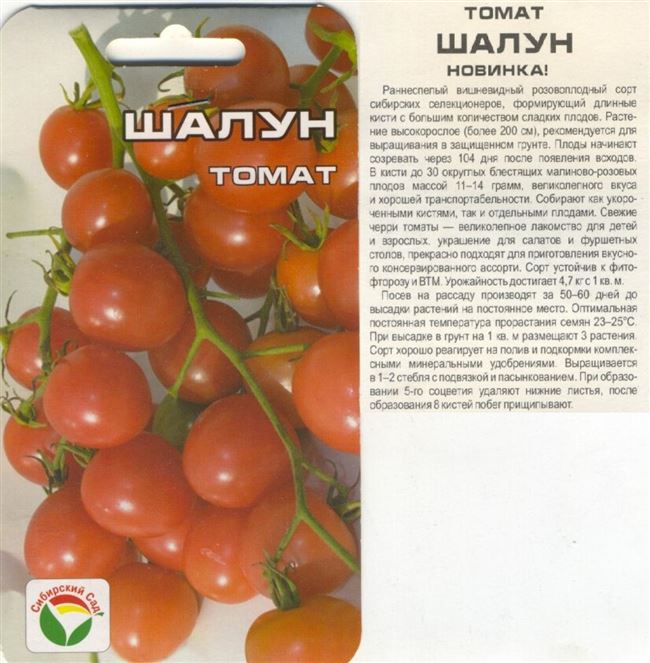 Красивые помидорки с отличным вкусом — томат Шалун: описание сорта и его характеристики