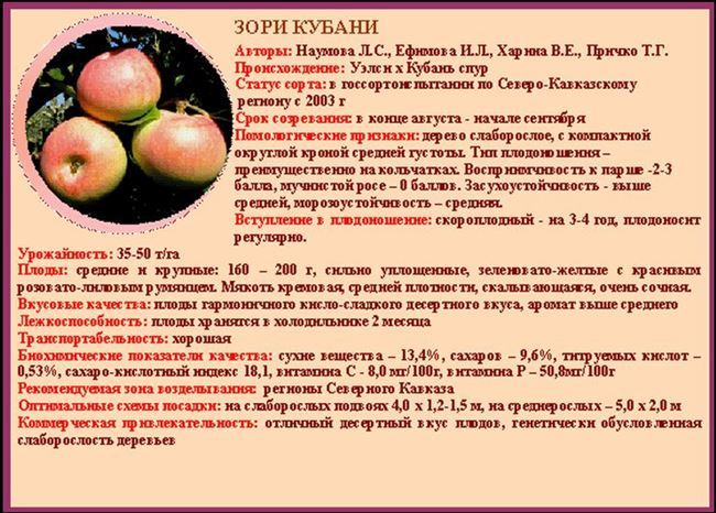 Описание сорта яблони Память воину: фото яблок, важные характеристики, урожайность с дерева