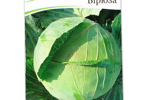 Бирюза Плюс — сорт растения Капуста белокочанная