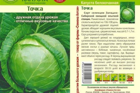 В данной статье мы расскажем Вам о лучших сортах всех видов капусты, которые можно сажать на всей территории России. А также отметим, какие из них лучше всего выращивать для засолки и квашения.
