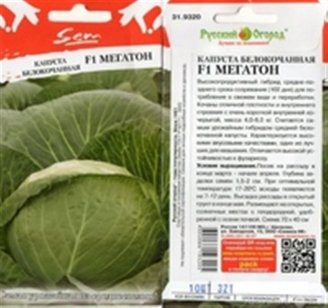 Болезнеустойчивый сорт для салатов — капуста Амтрак f1: описание и отзывы