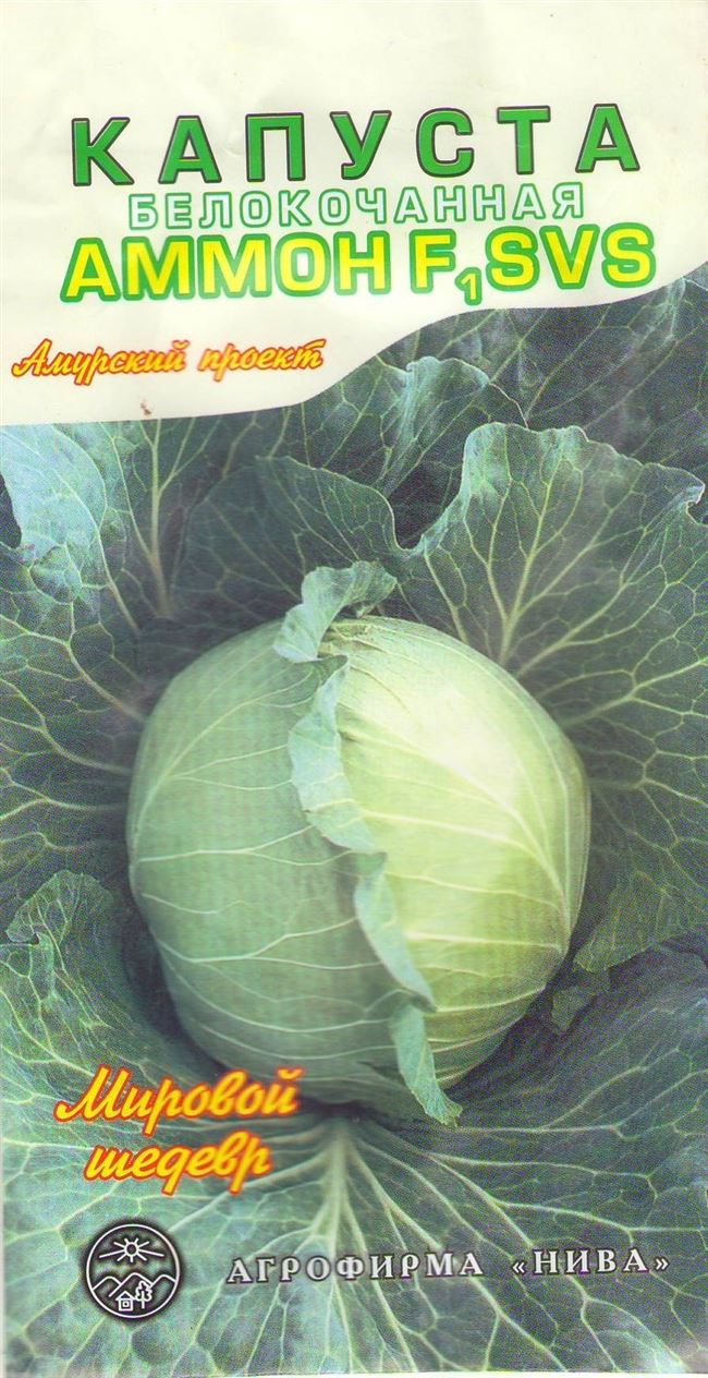 Характеристика капусты салатного сорта аммон f1